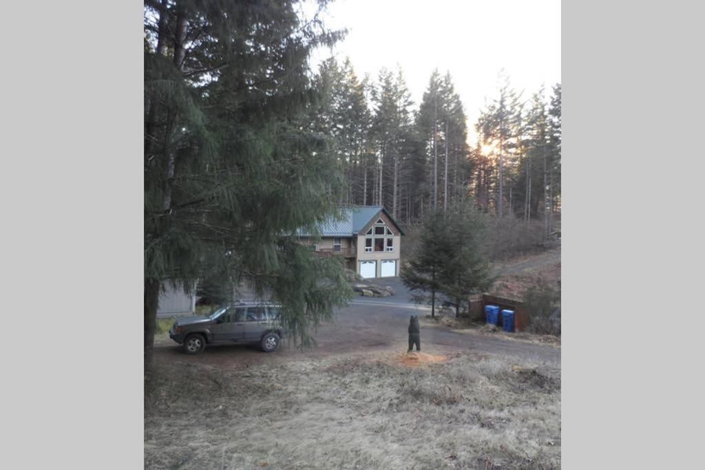 Mountainside Chalet - Tiny Home Packwood Luaran gambar
