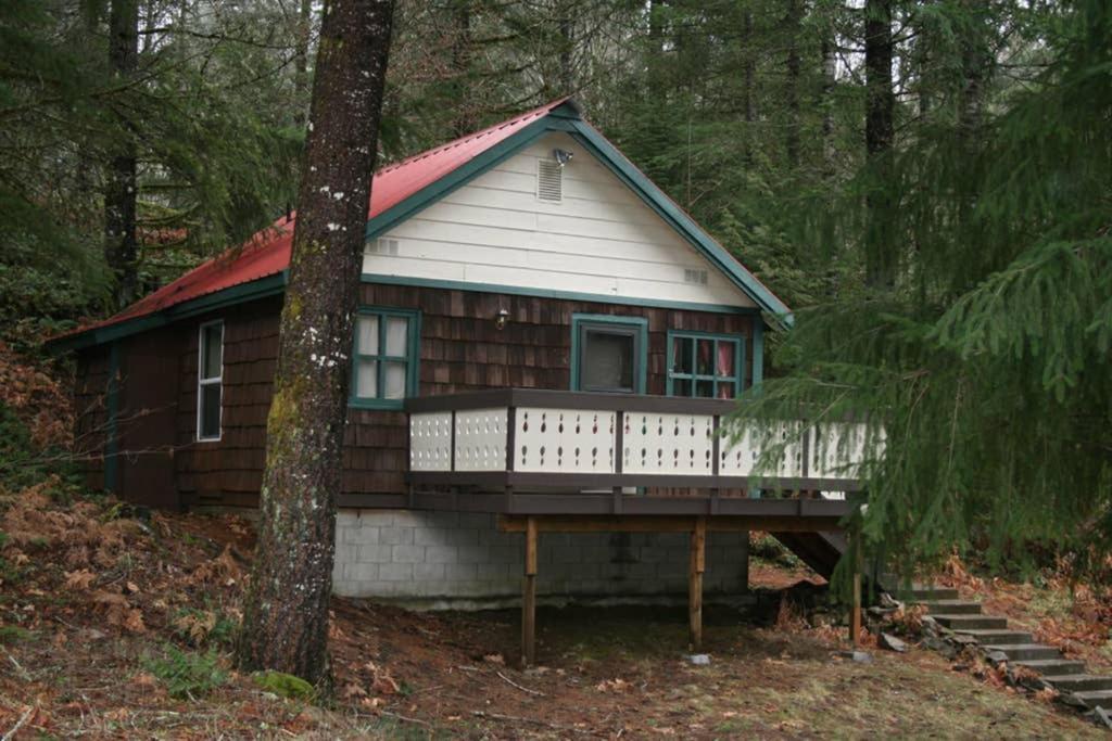 Mountainside Chalet - Tiny Home Packwood Luaran gambar